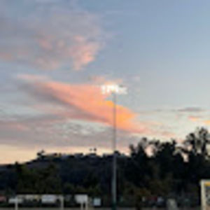 Meet your Posher, Winter rose